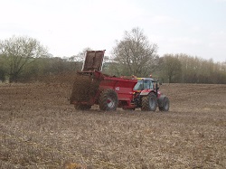 Manure Analysis - Solid