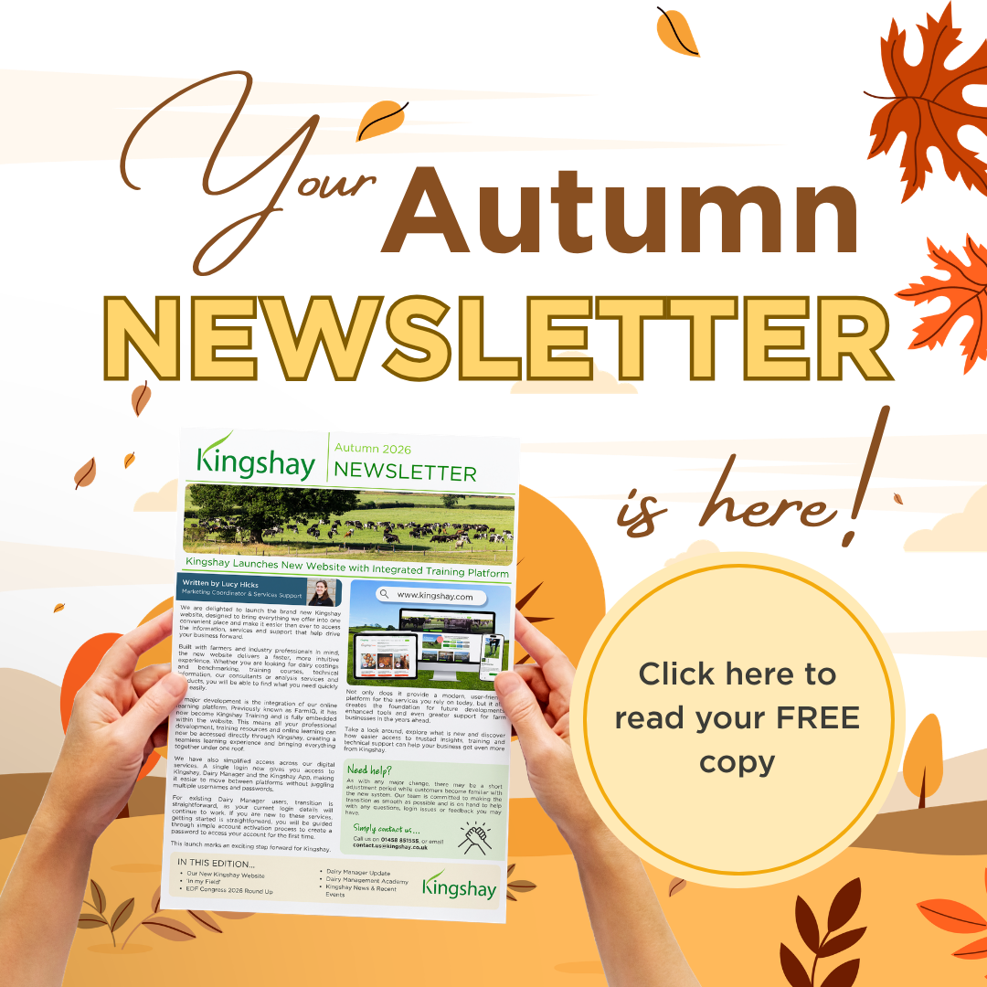 Autumn 2026 Newsletter