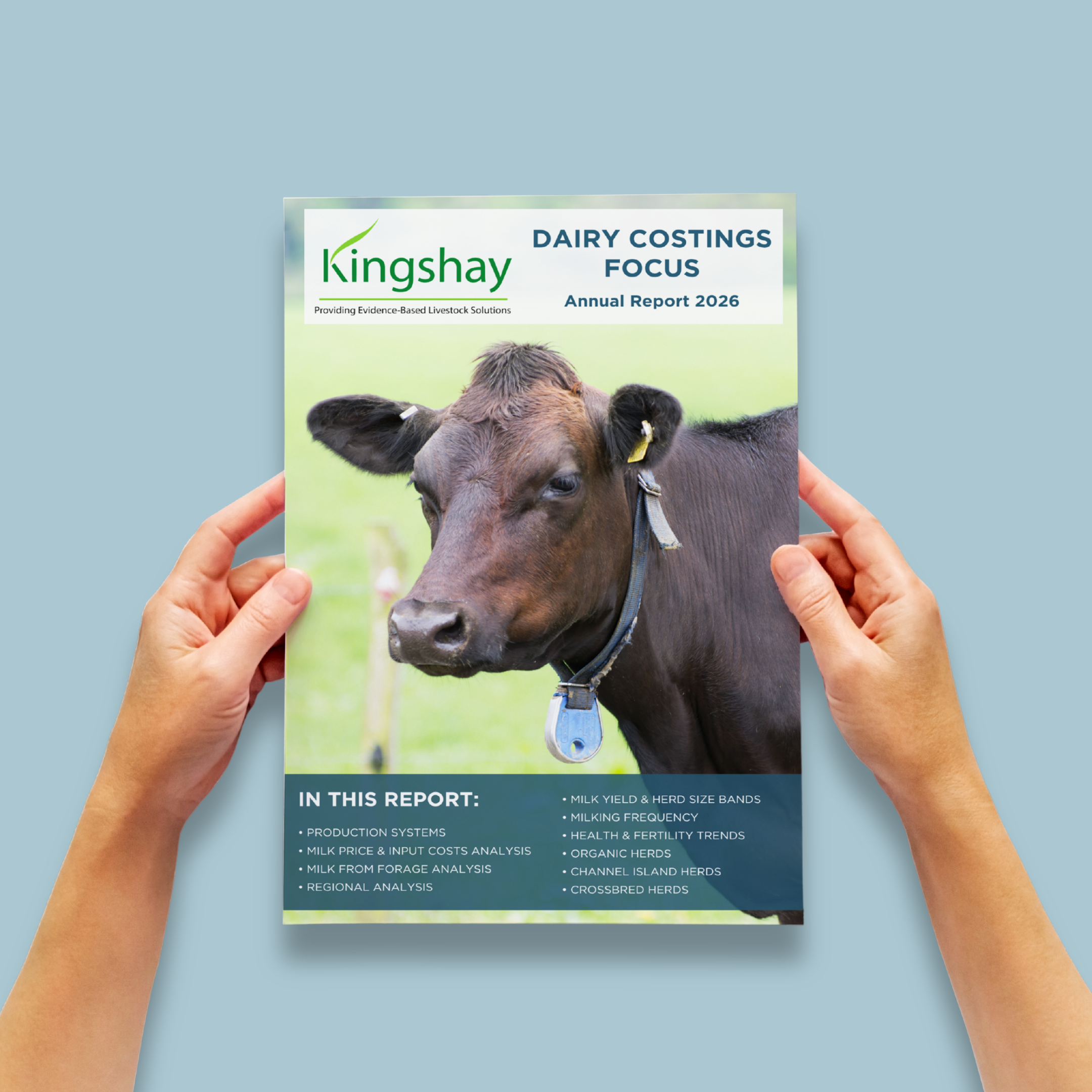 Dairy Costings Focus Report 2026