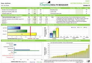 Kingshay Demo Beef Antimicrobial Report Oct2018 Reduced Size - Page 2