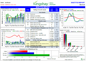 VIEW EXAMPLE REPORT