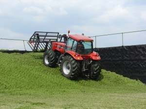 Effective Grass Silage Fermentation