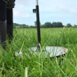 Early Season Grazing Management