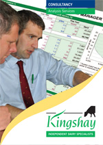analysis-services