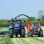 fresh-grass-analysis Analysis Services