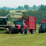 silage-analysis Analysis Services